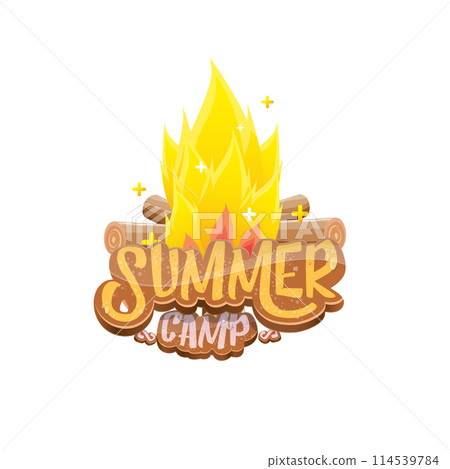 vector summer camp cartoon logo with campfire isolated on white background. Summer camp vintage funky flyer, funny label and poster design template with fireplace and summer camp text 114539784