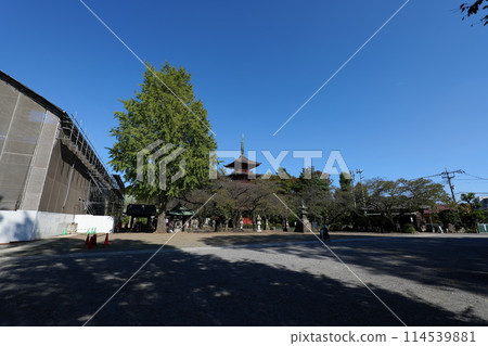 參觀中山法華經寺 參觀中山法華經寺 114539881