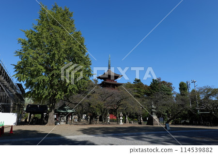 Visit to Nakayama Hokekyoji Temple 114539882