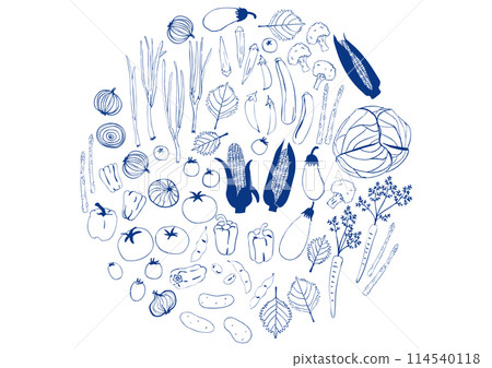 簡單的深藍色蔬菜套裝 簡單的深藍色蔬菜套裝 114540118