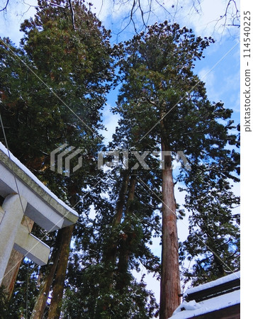 Torii of a shrine where snow was piled up Torii of a shrine where snow was piled up 114540225