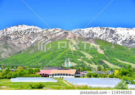 唐松岳/展望八方尾根（長野縣白馬村）[2024.5] 114540303