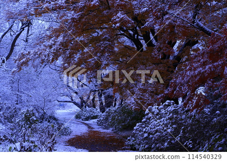 岩手縣北上市秋天的陸奧民俗村 114540329