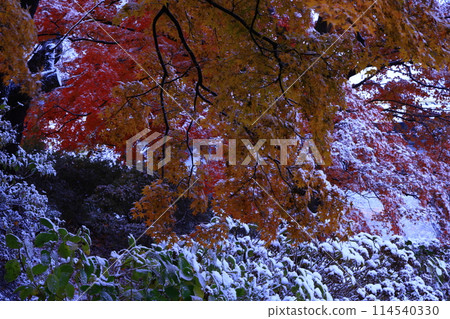 岩手縣北上市秋天的陸奧民俗村 114540330