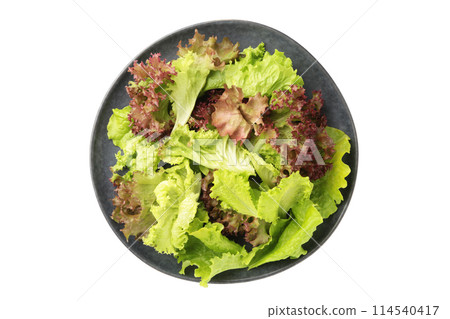 Fresh red and green lettuce on dark plate isolated on white background. 114540417