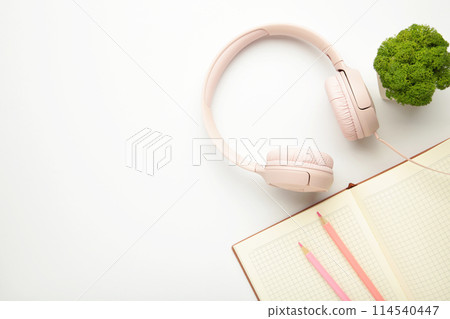 Modern pink headphones with plant and notebook on light background Modern pink headphones with plant and notebook on light background 114540447