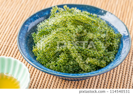 Sea grapes and sauce 114540531