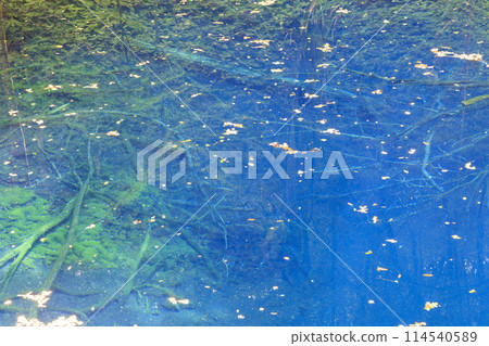 World Heritage Shirakami Mountains Fukaura Town Aoike Pond 114540589