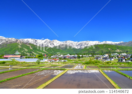 從八方尾根到白馬三山的景色（長野縣白馬村） [2024.5] 114540672