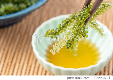 Sea grapes to dip in sauce 114540721