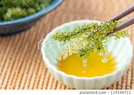 Sea grapes to dip in sauce 114540722