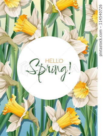 Greeting card template with spring flowers. Banner, poster with daffodils. Easter illustration of delicate flowers in cartoon style for card, invitation, background, etc. Greeting card template with spring flowers. Banner, poster with daffodils. Easter illustration of delicate flowers in cartoon style for card, invitation, background, etc. 114540726