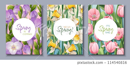 Spring is near with beautiful flower arrangements on three cards 114540816