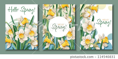 Set of Greeting card templates with spring flowers. Banner, poster with daffodils. Easter illustration of delicate flowers in cartoon style for card, invitation, background, etc. Set of Greeting card templates with spring flowers. Banner, poster with daffodils. Easter illustration of delicate flowers in cartoon style for card, invitation, background, etc. 114540831