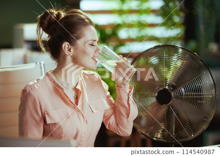 happy modern small business owner woman in modern green office 114540987