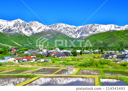 眺望白馬三山（長野縣白馬村）[2024.5] 114541493