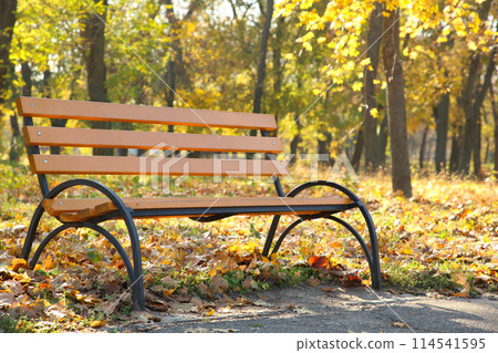 Empty wooden bench in the autumnal park 114541595