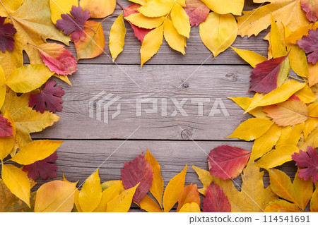 Red and Orange autumn leaves on a grey table Red and Orange autumn leaves on a grey table 114541691