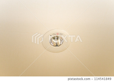 安裝在天花板上的緊急照明設備 114541849