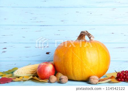 Orange pumpkin with leaves on a blue background. 114542122