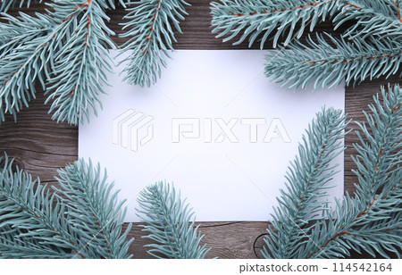 White paper with fir-tree branch on grey background 114542164