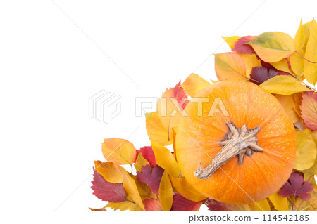 Orange pumpkin with leaves isolated on white background 114542185
