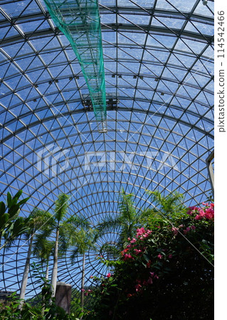 Japan's Largest Flower Park "Totori Flower Corridor": Flower Dome 114542466