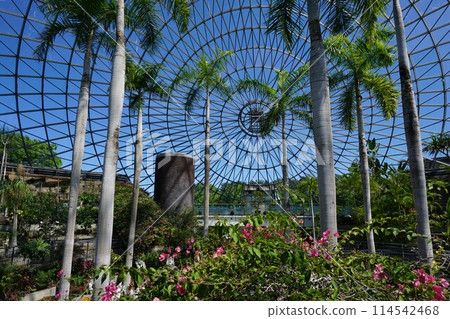 Japan's Largest Flower Park "Totori Flower Corridor": Flower Dome 114542468