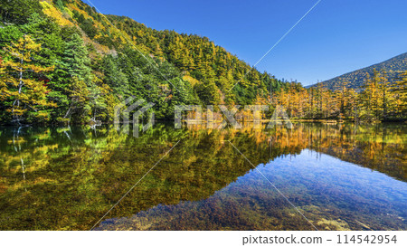 上高地的秋天，明神池（明神池）的美麗秋葉景色【長野縣松本市】 114542954