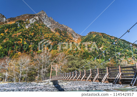 Kamikochi in the fall with beautiful autumn foliage: Myojin-dake and Myojin Bridge spanning the Azusa River [Matsumoto City, Nagano Prefecture] 114542957