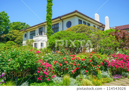 (神奈川縣)美麗的玫瑰盛開 - Port View Hill Park (神奈川縣)美麗的玫瑰盛開 - Port View Hill Park 114543026