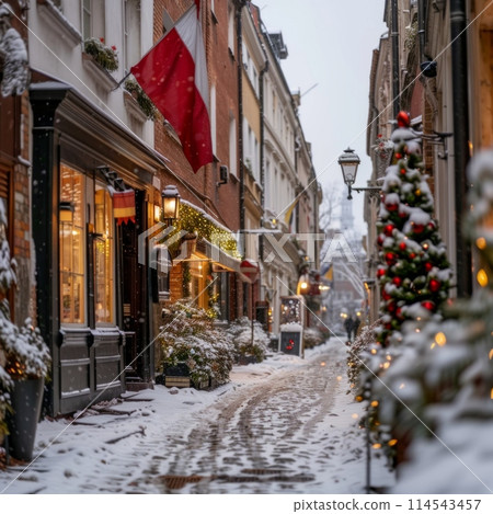 Experience the magic of Christmas in Brussels as the snow-covered streets come alive with festive cheer. 114543457