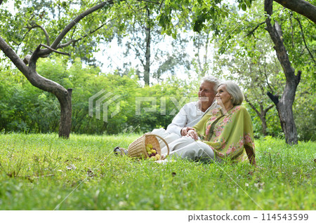 Portrait of a beautiful elderly couple in summer park 114543599