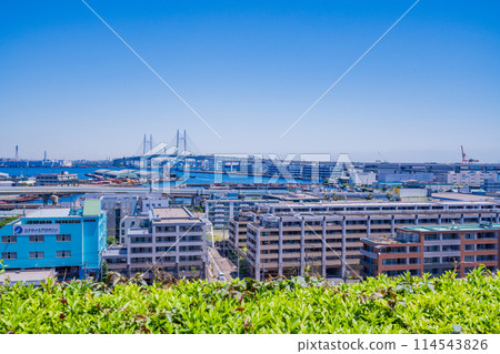 (Kanagawa Prefecture) Yokohama Bay Bridge as seen from the lush green Minato Mirai Park 114543826