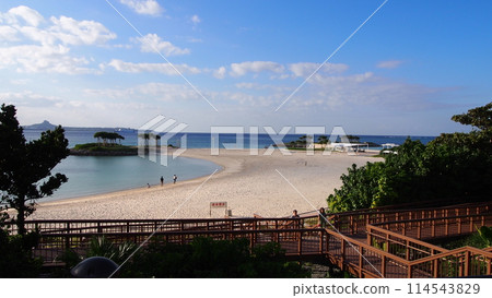 可以看到大海的公園 可以看到大海的公園 114543829