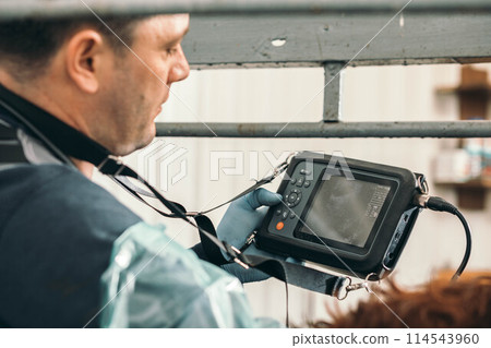 Innovations on the Farm: Ultrasound Technology: Veterinarians use ultrasound technology Innovations on the Farm: Ultrasound Technology: Veterinarians use ultrasound technology 114543960