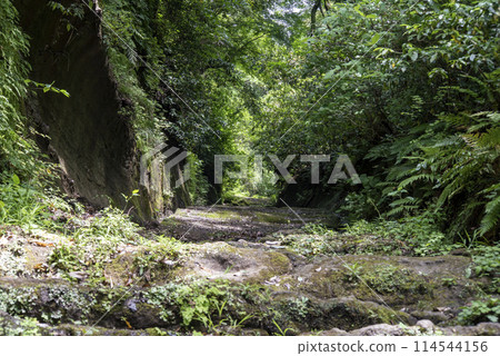 鎌倉 245 朝比奈 17 朝比奈 切入 114544156