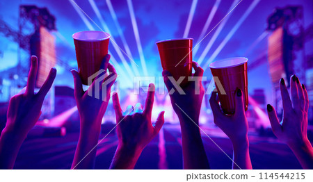 Rock and roll live concert event. People attending live concert, having fun, drinking beer, dancing Rock and roll live concert event. People attending live concert, having fun, drinking beer, dancing 114544215