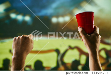 People, sport fans gathering at stadium to watch football competition, supporting team, drinking beer 114544295