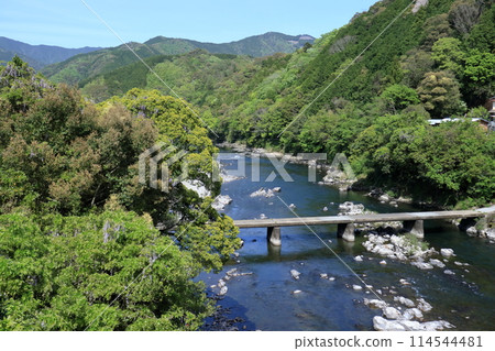 Wisteria flowers decorating the Daini-Mishima Submerged Bridge (Shimanto Town, Kochi Prefecture) Wisteria flowers decorating the Daini-Mishima Submerged Bridge (Shimanto Town, Kochi Prefecture) 114544481