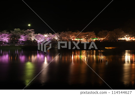 "Kintai Bridge and Cherry Blossoms at Night" Cherry Blossoms at Night Iwakuni, Yamaguchi Prefecture #Japan Tourism Kintai Bridge "Kintai Bridge and Cherry Blossoms at Night" Cherry Blossoms at Night Iwakuni, Yamaguchi Prefecture #Japan Tourism Kintai Bridge 114544627
