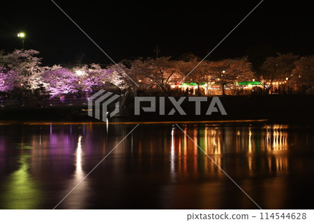 "Kintai Bridge and Cherry Blossoms at Night" Cherry Blossoms at Night Iwakuni, Yamaguchi Prefecture #Japan Tourism Kintai Bridge "Kintai Bridge and Cherry Blossoms at Night" Cherry Blossoms at Night Iwakuni, Yamaguchi Prefecture #Japan Tourism Kintai Bridge 114544628