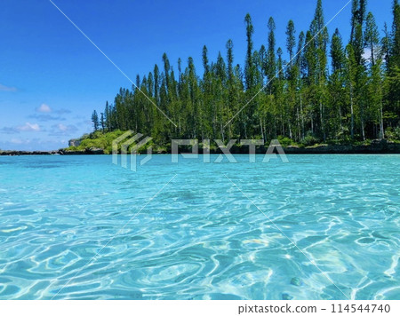 新喀裡多尼亞 Ile des Pins 天然泳池海波紋 114544740