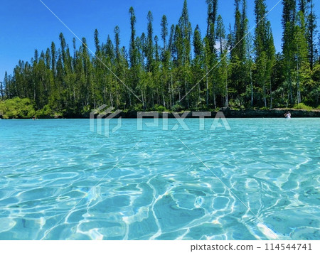 新喀裡多尼亞 Ile des Pins 天然泳池海波紋 新喀裡多尼亞 Ile des Pins 天然泳池海波紋 114544741
