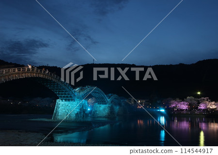 "Kintai Bridge and Cherry Blossoms at Night" Cherry Blossoms Illuminated Iwakuni, Yamaguchi Prefecture Cherry Blossoms at Night #JapanTourism Kintai Bridge 114544917