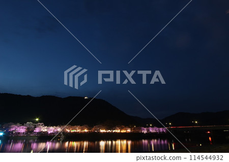 "Kintai Bridge and Cherry Blossoms at Night" Cherry Blossoms Illuminated Iwakuni, Yamaguchi Prefecture Cherry Blossoms at Night #JapanTourism Kintai Bridge 114544932