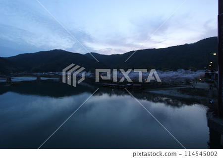 "Kintai Bridge and Cherry Blossoms at Night" Cherry Blossoms Illuminated Iwakuni, Yamaguchi Prefecture Cherry Blossoms at Night #JapanTourism Kintai Bridge 114545002