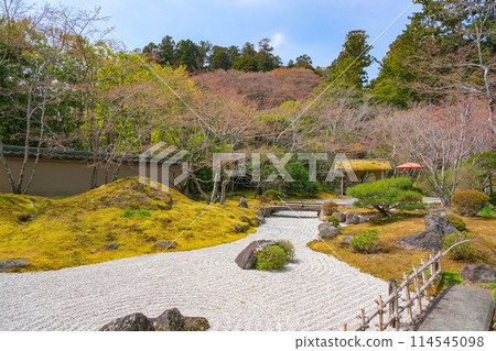宮城縣松島町圓通院七福神庭園 114545098