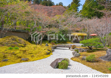 宮城縣松島町圓通院七福神庭園 114545099