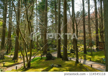 Entsuin Zenrin Meditation Garden, Matsushima Town, Miyagi Prefecture Entsuin Zenrin Meditation Garden, Matsushima Town, Miyagi Prefecture 114545118
